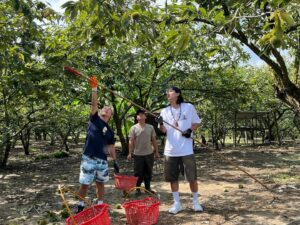 Zhang Ting Hu Instagram - 今天不止帶大家逛嘉義百年歷史的東市場，還要去找在台灣百年歷史的黃金板栗，各種嘉義限定，季節限定，產量限定的美味料理，準時上菜！！！

今晚10點，東森超視33頻道！！！

@bestchef.ebc 
@emerson_tsai