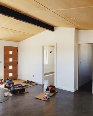 iO Tillett Wright Instagram - I like to build stuff, but a couple years ago, I didn’t even own a drill - When I hung a picture it looked like somebody Uzi’d my wall. Then I scraped together my coins and bought a dump in the 🌵. I realized contractors cost a mint, (and will run you in circles unless you know what you’re doing). So i cracked open YouTube, made friends at the hardware store and fell in love with building materials. 7 years later I’ve ripped apart 8 houses…kinda by accident. 

No, I’m not a contractor, I’m just a ding dong with a hammer and a Wi-Fi connection. No, it’s not my job - I make my living telling stories - but if I could give you any dad advice, buy a structure and learn to@turn a pile of trash into your gold.  If I could learn it, anyone can. 

And no, I won’t build your house, but if you’re one of the 5 people in the world that has one of my beds in your home, you know I really 💕 you. 

I never post the spaces I made, but fuck it, let’s do some fun before and after porn. 

This house was called Sweet Satellite.
