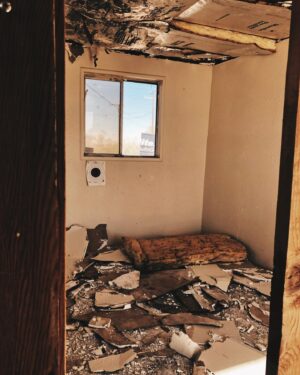 iO Tillett Wright Instagram - I like to build stuff, but a couple years ago, I didn’t even own a drill - When I hung a picture it looked like somebody Uzi’d my wall. Then I scraped together my coins and bought a dump in the 🌵. I realized contractors cost a mint, (and will run you in circles unless you know what you’re doing). So i cracked open YouTube, made friends at the hardware store and fell in love with building materials. 7 years later I’ve ripped apart 8 houses…kinda by accident. 

No, I’m not a contractor, I’m just a ding dong with a hammer and a Wi-Fi connection. No, it’s not my job - I make my living telling stories - but if I could give you any dad advice, buy a structure and learn to@turn a pile of trash into your gold.  If I could learn it, anyone can. 

And no, I won’t build your house, but if you’re one of the 5 people in the world that has one of my beds in your home, you know I really 💕 you. 

I never post the spaces I made, but fuck it, let’s do some fun before and after porn. 

This house was called Sweet Satellite.