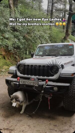 Aakriti Rana Instagram - The song is so apt 🤣🤣🤣
Wait for @aditya_rana’s reaction 🥲

Man I got huda beauty lashes for the car but boys I tell you. Khud ki lashes toh naturally itni acchi hai, why get jealous of the car 🤣🤣🤣

[ aakriti rana, huda beauty, lashes, funny videos, jeep rubicon, car modifications, eyelashes, amazon finds, siblings, brother sister ]