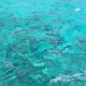 Akemi Nakamura Instagram - Que rico es el mar! Y que mar! Pero mas viajar con personas tan diferentes y al final todo es perfecto!