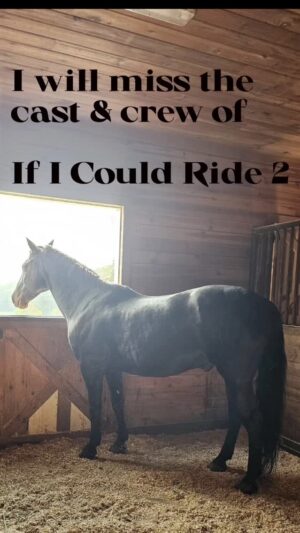Alexis Arnold Instagram - Many thanks to the Cast & Crew of If I Could Ride 2...It was a fun 3 weeks and I will miss all of you. May all your dreams come true! 💖🎬

#alexisarnoldactress #ificouldride2 #featurefilm #alexisarnoldmodel #actress #actors #movie #actor  #horse #nascar #dreams #dreamsdocometrue #producer #happiness #instagram #race #friends #talent #cast #crew #thatsawrap 

@rickysrace @donnie.miller @ashleyermiller @jikavy @actorjeffbrody @gwade05 @mhenaghan @neileastep @mlasvegas @makeupbyjoro @shillr @corymescon @maeve.anna @amandavpfeiffer @tomveratv @evaigo2002 @sherijacobsauthor @ourblindside @3sunzzz @alexcope.ac @mealeona.m @victoriajyap @ethan.rhoad @iamwhitneyjayne @nateairey @em.c.marks @discalapictures @thomashix @k.j.bold @riemer_karl @noah_thomas_jeffrey_ @zacharymccallion @jack.axelrod @sydney.stillman @grace_anneb @willow_brook_farm_