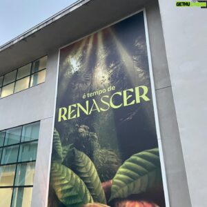 Alice Carvalho Instagram - hoje é o ultimo capitulo de #renascer, minha primeira novela, e a saudade batuca forte, invade mesmo, e todos os 197 roteiros passam em flashs.

a equipe maravilhosa, o elenco estelar e interestelar, a garra, os diretores e toda liberdade, bruno luperi que, em grandeza, nos permitia brincar com suas palavras, muda-las, adapta-las, trazendo sempre pra nós, de dentro pra fora.

muitos amigos fiz, amigos de verdade, muita gente nesse brasil dando alô, e dizendo que viu, e ajudando o trabalho a melhorar, tudo em tempo real… meu deus, que experiencia lisérgica enlouquecedora e aterradora foi essa!

agradeço imensamente a cada colega do time por todos os encontros, todas as bagunças, todos os almoços, lanches, cafés, choros de insegurança… ficou marcado em mim pra sempre!

obrigada gustavo fernandez, marcella bergamo, chico acciolly, villamarim, walter carvalho, mari betti, pedro peregrino, ricardinho, ale, todos da camera, todas e todos assistentes, toda equipe da predial, as meninas da limpeza, pessual da aguinha, caracterização, figurino, tudo, todos, pra sempre. 

ASSISTAM ESSE BAILE DE BELEZA QUE VAI AO AR HOJE! e até já! ❤️