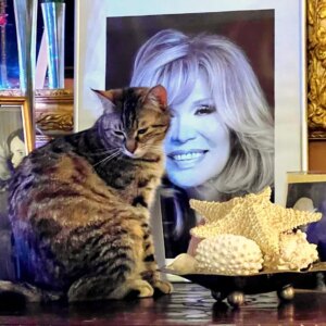 Amanda Lear Instagram - My Number 1 fan 🐱 #love #