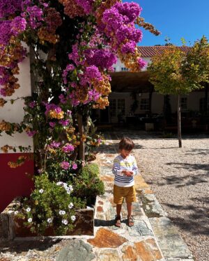 Ana Sofia Cardoso Instagram - Douro, és um charme!!
#douro #douroriver #douroriver #quintanova #lovetravel #travelling #instatraveling #beautiful #beautifuldestinations #travel