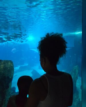 Ana Sofia Martins Instagram - Manhã bem passada com os meus queridos primos no @oceanariodelisboa 🪼🐧🐟🐠🐡🦈🦑🐚🪸🪼❤️