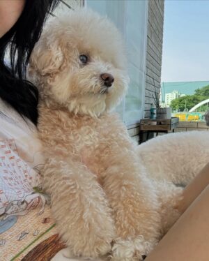 Angel Lam Chin Ting Instagram - 👒🌤️