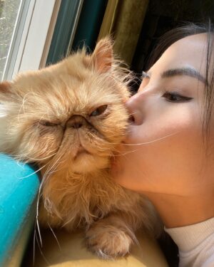 Anna Akana Instagram - Congress crossed the rainbow bridge today. My heart is broken. I loved this muppet like nothing else on this planet. He was truly a force to be reckoned with & he joins his brother & sisters in the clouds to chase the birds 
🤍
Goodbye my love 
My heart is a cardboard box 
Almost too small for you to fit in
Spin and sit and sleep 
And dream good dreams
Of me