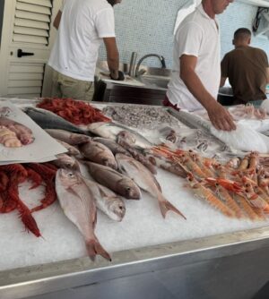 Anne Burrell Instagram - In my mind I’m still basking in the Sicilian sun… SUPER fresh fish, chilly white wine and FANTASTIC company!!! Just dreamy!!!! #theclaxtons #ilovewhatido #luckygirl #sicily #italy