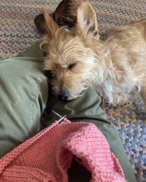 Annette O'Toole Instagram - Barry helps me knit.