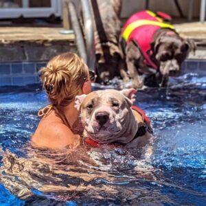 Ashley Hobbs Instagram - Pool Pawty with the Cousins 🩵
.
Today was a GREAT day!
.
#puppiesmakemehappy
#bullybreed
#greatday
#thankful
#family