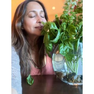 Ashwini Bhave Instagram - "Can you smell the sweet basil? 🌿 Fresh vibes, summer flavors, and Sunday smiles all around! ☀️"

#happysunday

#goodmorning #vibe #basil