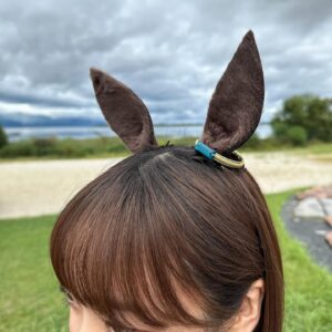 Ayaka Ohashi Instagram - 今日は⚡️イナズマロックフェス 2024⚡️にウマ娘のウオッカ役で出走いたしました🐎

ウマ娘初の野外フェス！！
楽しかったです✨(スタッフ)

#イナズマロックフェス 
#ウマ娘 
#大橋彩香