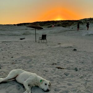 Belemir Temizsoy Instagram - Hiç bir fotoğraf eleyemediğim için tüm tuşlara bastım😅🌞
24’ Delikli Koy