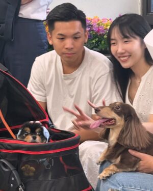 Bella Yang Instagram - 我們結婚啦👰‍♀️💐💘
2024.09.10我們的五週年

💌
好神奇唷，五年，我們在一起五年了！
常常覺得時間過得快的不可思議，
但每次一起翻相簿、看我們拍過的Vlog，
再一起回味每一個我們一起經歷的片段，
不論當下的感受是難過、是幸福，
都是我一輩子最最最珍貴的回憶。

2019～2024

即使一起經歷過很辛苦很黑暗的時期，
但我也因此更珍惜這些與妳一起得來不易的幸福。
我無法完整形容出我有多愛妳，
但我承諾會給妳我最完整的愛。

未來我不奢求過多華麗的生活，
只想要和妳一起組成家庭，一起生活，
一起白頭變成兩個幸福快樂的老奶奶👵🏻

看妳笑的開心，就是我最幸福的時刻了❤️
我會一輩子珍惜著妳，直到永遠

這輩子我找到妳了，下輩子也會，每一個輩子都會

#卡貝妻妻日記 #CBdiary