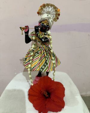 Bidusmita Dash Instagram - Happy janmastami 🙏
Jai shree krishna 
#brindraban #krishna #krishnalove