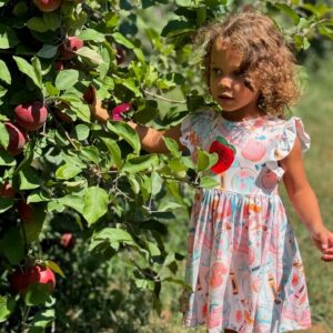 Brandi Runnels Instagram - Family apple picking @bjreeceorchards 🍎 🍏