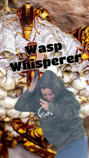 Candice Michelle Instagram - Wasp relocation attempt. It’s just too GOOD not to share. I’ve never heard my hubby cus like this. He must love me so much. 🤣. Don’t take life so seriously! Stop and laugh for a minute. Dear animal loves an insect lovers I tried my best!