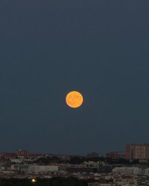 Carolina Yuste Instagram - Una reciprocidad 🌕