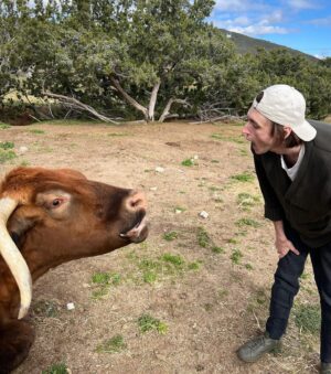 Caroline Day Instagram - @farmsanctuary ❤️