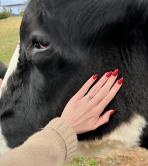 Caroline Day Instagram - @farmsanctuary ❤️
