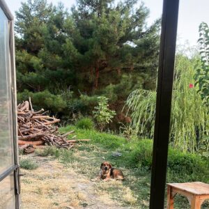 Ceren Moray Instagram - Fonda katliam yasası, yanımda harika insanlar, yolda mücadele derken pata küte geçti içimden yine @ekobelgesel . Galiba bu sezon nezaketi bir kenara bırakıp, olağanüstü bişey yaptığımız gerçeğini esas alacağım. Bırakın vursun geçsin sizi de bu yol, korkmayın “karanlık ay aman”lardan. Yol bazen yol olduğu bilgisiyle sadecedir de. Kirazlı köyündeki arkadaşlarıma selam, Ekim’de @blutv ‘de görüşürüz