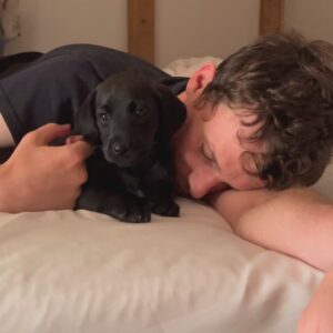 Charlotte Hope Instagram - Introducing Mischka ❤️

This summer, my parents’ dog Luna was in heat so we were keeping safe and single in the house when a terrier got in the cat flap and subsequently i have spent the summer raising puppies and it’s been excellent.