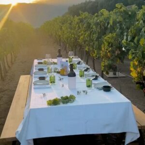Chiara Ferragni Instagram - Summer nights, vineyard lights ✨🍇🫶🏻