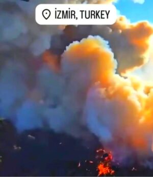 Çiğdem Tunç Instagram - İzmir'imiz,düşmanı denize döken kahraman şehrimiz,küllerinden gene doğarsın zümrüd-ü Anka'mız..
Ve güzel ülkemin,kasıtla ateşe verilen ve/veya doğal sebeplerle yanan toprağı,çok üzgünüm çok..Şu anda sadece kahrolmak geliyor elimden,bir de dua etmek😭😭😭😭