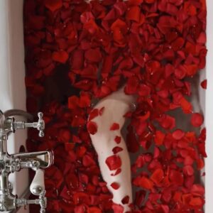 Courtney Halverson Instagram - I am nothing if not a hopeless romantic. Forever searching for the songs and books and movies and poems that make my heart swell and nearly break each time, before gently mending itself again and again. 🥀 and chances are if you’ve ended up on my little corner of the internet, you feel the same. 

So here’s to us who play the saddest songs and languish in the bath and feel all the feelings. We’re just hopeless romantics. 

ps : if you have a song to contribute to my ‘sad girl bath tunes’ playlist please let me know, I’m always looking to grow it. 📻 🥀 
.
.
.
#romanticstyle #vintagevibes #elegantstyle #redrosepetals #hopelessromantic