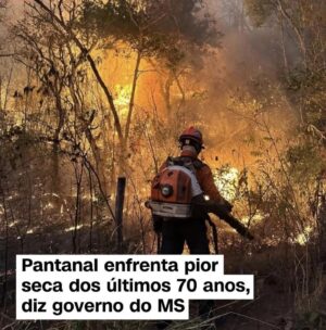 Débora Falabella Instagram - #Repost @pauli_chamorro
・・・
Quase não tenho mais palavras.

A entrevista de Carlos Nobre, um dos principais climatologistas do mundo, ao dizer que “estou apavorado, ninguém previa isso. É muito rapido”. Fogo no Xingu, previsões do fim do Pantanal até 2050, seca sem precedentes no Brasil inteiro, pessoas isoladas pela seca dos rios, animais morrendo queimados, cidades intoxicadas.
O Oceano no Planeta inteiro aquecendo. Sabe o que significa? Aumento de secas e mais eventos extremos e mais fortes.

Muitas vozes no podcast nos explicam isso. Recomendo para quem.quiser entender como chegamos aqui.
@vozesdoplaneta.podcast 

As artes são de @kitlayfield feitas na época da pandemia. E me impressionaram tanto.