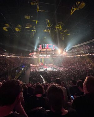 Denise Salcedo Instagram - Some of my pics from my trip to Berlin, Germany for WWE Bash In Berlin. ✈️ you can check out my interviews on my YouTube channel!🙏💙 #bashinberlin #wwe #wwebash