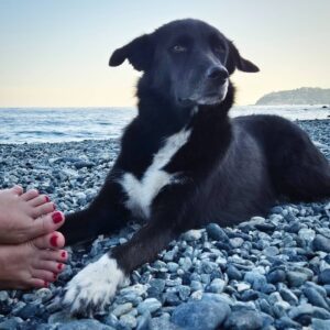 Elena Di Cioccio Instagram - Roba di piedi, peli, smalti rossi e nasetti bagnati sui ciotoli di Vesima (Ge). Bella la Cina ma ritrovare Regina è la gioia. ❤️