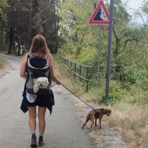 Elisa Di Eusanio Instagram - Pensieri all' alba di una vacanza particolarmente riuscita 🌞

L' idea di scaraventarmi nel vortice della guerra al  quotidiano appesantisce il mio respiro 

Mi attende la bella Roma che tanto amo
 ma che è diventata una fogna arrabbiata e violenta 

Ho come la sensazione di dover indossare i guantoni e ricominciare a dare cazzotti 

Il mio lavoro a cui ho consegnato tutta me stessa 
Ma che ti obbliga costantemente alla competizione 
Al dover essere scelte e preferite 

Ma poi quali occhi si posano su di me?
Sono sguardi che mi interessano davvero?

È tempo che sia io a scegliere 

So che esiste un' altra occasione per questo viaggio 
Nuove possibilità tutte da scoprire 

Il riconoscimento mi è ostile 
La superficialità 
La mancanza di cura 
 di empatia 
Non è 
non sarà il mio spazio questo 

Sono lontana anni luce dall' ambizione 
Muore un pezzo di noi ogni giorno 
Per un attimo di materia in più 

Sto cercando altro 
E lo troverò 🌟

#instaeli