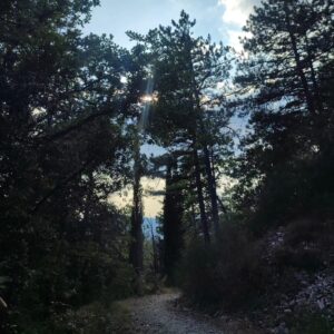Elisa Di Eusanio Instagram - Pensieri all' alba di una vacanza particolarmente riuscita 🌞

L' idea di scaraventarmi nel vortice della guerra al  quotidiano appesantisce il mio respiro 

Mi attende la bella Roma che tanto amo
 ma che è diventata una fogna arrabbiata e violenta 

Ho come la sensazione di dover indossare i guantoni e ricominciare a dare cazzotti 

Il mio lavoro a cui ho consegnato tutta me stessa 
Ma che ti obbliga costantemente alla competizione 
Al dover essere scelte e preferite 

Ma poi quali occhi si posano su di me?
Sono sguardi che mi interessano davvero?

È tempo che sia io a scegliere 

So che esiste un' altra occasione per questo viaggio 
Nuove possibilità tutte da scoprire 

Il riconoscimento mi è ostile 
La superficialità 
La mancanza di cura 
 di empatia 
Non è 
non sarà il mio spazio questo 

Sono lontana anni luce dall' ambizione 
Muore un pezzo di noi ogni giorno 
Per un attimo di materia in più 

Sto cercando altro 
E lo troverò 🌟

#instaeli
