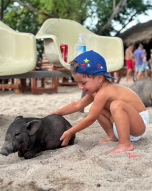 Eva Perkausová Instagram - Pigy island 🌴🐷😁 neboli Koh Madsum je takovy malý tropický ráj v Thajsku, který je proslulý především i kvůli nádherné pláži a křišťálově čisté vodě 🩵💦 možnost vyfotit se s volne se pohybujícími🐷 dela z ostrova turisticky oblíbené misto 🥰