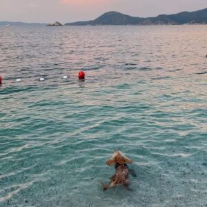 Filippa Lagerbäck Instagram - Una serata perfetta, in spiaggia. 🩵 
.

[da @bagni.padulella atmosfera unica!]