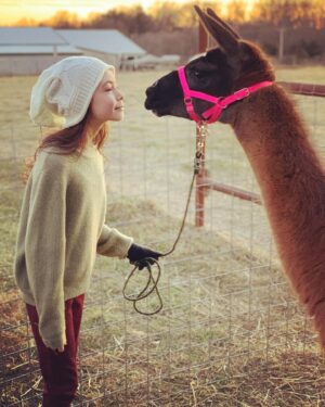 Hala Finley Instagram - 🦙💕 Meet LaDonna! The newest and sweetest llama addition to the family! 

#llamakisses #llamas #llamafarm #llamalove