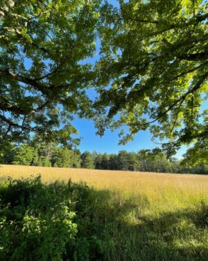 Heather Thomson Instagram - Check out, to check in! 

The mind is like water, when it is calm, it is clear. — zen proverb’) ✨

For me the best way to recharge is to unplug and step outside. Forget the screens and clickers! Nature is the ultimate escape. 🌿

Soaking in natures vibes! You don’t have to go away to get away! Take time, treat yourself, take a stay-cation and let the fresh air and peaceful sounds of nature and beauty in your own zip code re-energize your spirit and mind! ♥️

#staycation #natureescape 
#recharge #unplugged 
#digitaldetox #forestbathing #outdoortime #naturelovers 
#reset #wellness #selfcare #heatherthomsontravel #doyou