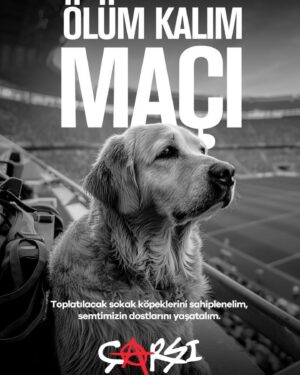 Hilal Saral Instagram - Beşiktaş’ta olan Beşiktaş’ta Kalır !!!