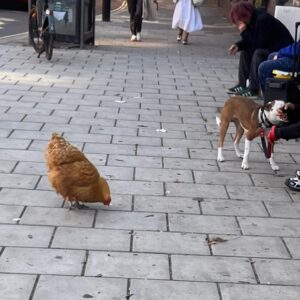 Imogen Waterhouse Instagram - Quite wholesome!