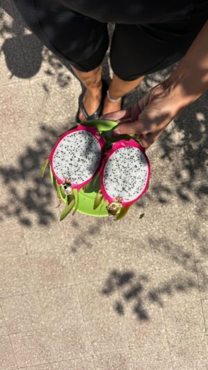 Inês Gutierrez Instagram - O poder desta ilha: ☀️
durante estes 4 dias, nunca estive - mesmo - mais do que 15 minutos agarrada ao telefone
não me lembro de ter feito uma chamada para alguém que não estivesse na mesma ilha que eu 
não haver carros
ir a pé até à praia 
tenho que ter sempre ou sal ou areia no corpo 
os pés estão sempre sujos 
é estranho estar penteada 
a roupa repete-se e não se pensa muito nos looks, mesmo para quem pensa como eu 
desisti de levar o balde e as pás para a praia porque as crianças aqui inventam brincadeiras mais fixes 
o mar é sopa 
comemos demasiado (e bem) nesta família e ainda mais aqui
dormir bem é difícil porque o calor é muito e sinto-me sempre meio a acampar 
estive MOLE durante os 4 dias 
quando vou embora, penso sempre que devo vir à ilha mais vezes
… e o resto da vida pouco interessa momentaneamente.