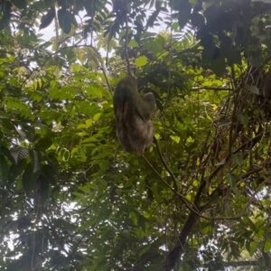 Irene Azuela Instagram - Pura vida la que me dio Costa Rica.
