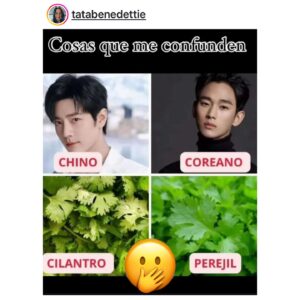 Isabella Santodomingo Instagram - Un tris aporreada tras una nueva cirugía 👂🏻pero optimista. Esta vez sí va a ser… me digo todos los días. Pareciera una bobada pero no hay nada más delicado que el oído. Eso lo aprendí este año a los totazos. Por confiada, por afanarme, no escogí bien quien me operaría, ni entendí qué tipo de procedimiento me haría… simplemente confié en que era algo sencillo y de verdad creí que todo iba a salir bien. Me equivoqué, lo reconozco. Llevo cuatro cirugías en casi 10 meses y no veo la hora de volver a escuchar bien. Hoy día siento que estoy en buenas manos, el Dr. Hernández — mi nuevo otólogo — me ha dado toda la fuerza y la esperanza que ya casi había perdido. Lo bueno, en medio de lo malo, es haber aprendido a disfrutar el silencio, a escucharme más a mi misma. A ser más  introspectiva, más empática, más resiliente. A escribir más del alma. Más bonito. Todo lo que nos pasa en la vida, puede ser bueno o malo, dependiendo del lente con el que escojas mirarlo. Abrazos para todos. 🥰
••
Entradas para mi próxima función en Pompano Beach: www. LosCaballerosLasPrefieren.com
••
@tiranube @los.caballeros.las.prefieren #LCLPB20Años #LCLPB #OneWomanShow
••
P.D./ Aunque parezco la víctima de un atraco, el Ojo morado es porque se me rompieron unos vasitos del lado del que me sacaron el injerto para la timpanoplastia y la canaloplastia. Lo único no tan bueno, es que la 1ra cirugía me afectó mi nervio facial y por eso un lado de mi cara no funciona como antes. Ahí voy. Seguimos. 😉