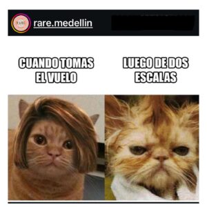 Isabella Santodomingo Instagram - Un tris aporreada tras una nueva cirugía 👂🏻pero optimista. Esta vez sí va a ser… me digo todos los días. Pareciera una bobada pero no hay nada más delicado que el oído. Eso lo aprendí este año a los totazos. Por confiada, por afanarme, no escogí bien quien me operaría, ni entendí qué tipo de procedimiento me haría… simplemente confié en que era algo sencillo y de verdad creí que todo iba a salir bien. Me equivoqué, lo reconozco. Llevo cuatro cirugías en casi 10 meses y no veo la hora de volver a escuchar bien. Hoy día siento que estoy en buenas manos, el Dr. Hernández — mi nuevo otólogo — me ha dado toda la fuerza y la esperanza que ya casi había perdido. Lo bueno, en medio de lo malo, es haber aprendido a disfrutar el silencio, a escucharme más a mi misma. A ser más  introspectiva, más empática, más resiliente. A escribir más del alma. Más bonito. Todo lo que nos pasa en la vida, puede ser bueno o malo, dependiendo del lente con el que escojas mirarlo. Abrazos para todos. 🥰
••
Entradas para mi próxima función en Pompano Beach: www. LosCaballerosLasPrefieren.com
••
@tiranube @los.caballeros.las.prefieren #LCLPB20Años #LCLPB #OneWomanShow
••
P.D./ Aunque parezco la víctima de un atraco, el Ojo morado es porque se me rompieron unos vasitos del lado del que me sacaron el injerto para la timpanoplastia y la canaloplastia. Lo único no tan bueno, es que la 1ra cirugía me afectó mi nervio facial y por eso un lado de mi cara no funciona como antes. Ahí voy. Seguimos. 😉