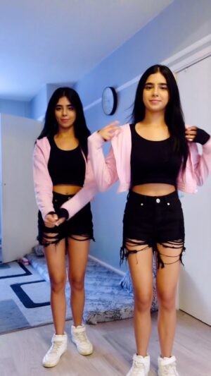 Ishveen Gulati Instagram - Laung Mare Lashkare💗

#teamvleenam #mirrortwins #twins #twin ✨