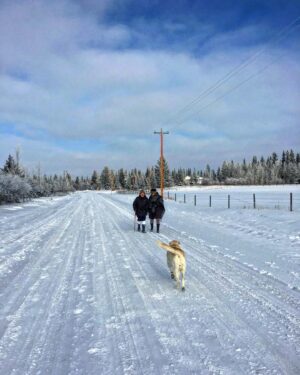Jann Arden Instagram - Winter is coming.  Mom and Belle and her friend Ros. Ros is Nigel's dear 88 year old mom, still going strong!  Mom and Belle are in heaven eating cake.