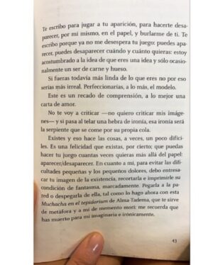 Javiera Díaz de Valdés Instagram - September: find New problems 🫗