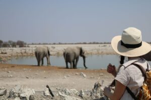 Jess Impiazzi Instagram - The world is full of spectacular places 🌍 
This is day 1 at Etosha national park safari in Namibia! And just look at what we got to see! 🦁🇳🇦🐘