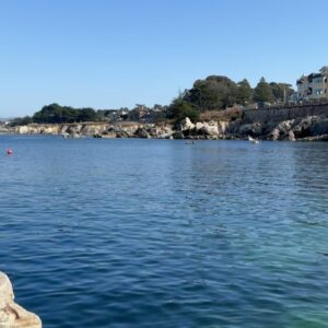 Joana Amaral Dias Instagram - #pacifgrove e toda a zona de #monterey e #carmelbythesea escolhidas como as segundas praias mais bonitas da #california 🌅, pelo Diniz e pela Luz. Daqui a pouco já revelamos as primeiras ☺️